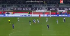 Borja Valero Goal HD - Fiorentina 1-0 Udinese - 11.02.2017 HD