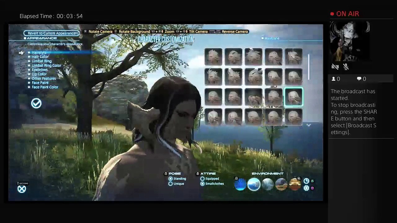 LeoTheon's Live PS4 Broadcast FFXIV Part 14 (4)