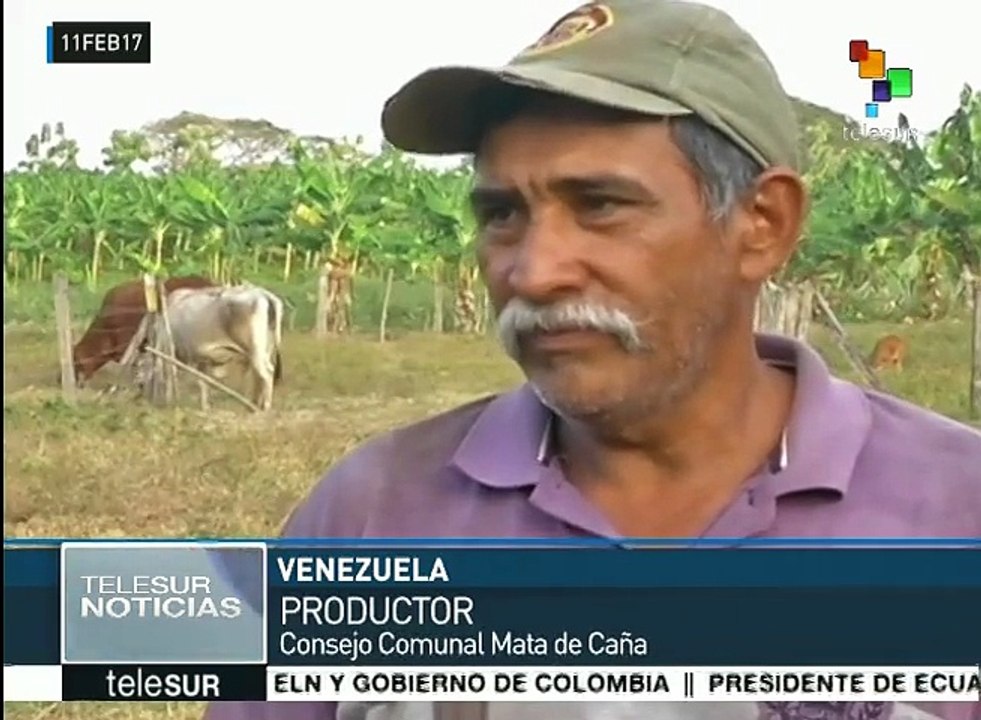 Venezuela: consejos comunales combaten el contrabando de alimentos