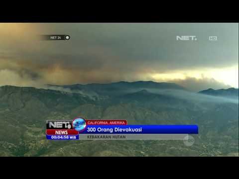 Kebakaran Hutan Meluas di California, Amerika - NET24