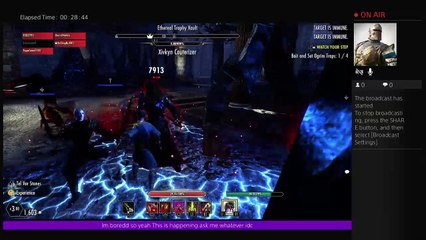 Skyrim with commentary... I guess lol (4)