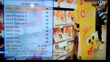 Multistream sur Echolink Femto Pro