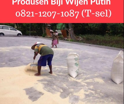 0821-1207-1087 (T-sel), Supplier, Distributor, Jual, Agen, Pabrik, Pemasok Biji Wijen Putih