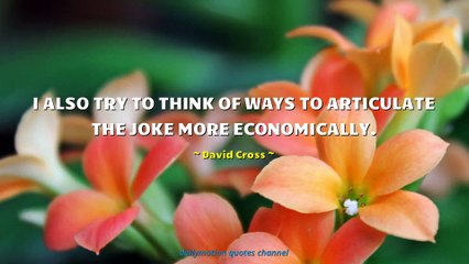 David Cross Quotes #1