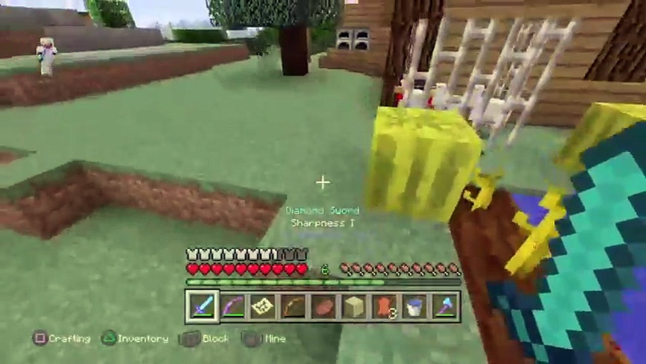 PS4_Gamer (52)