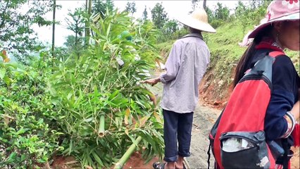 dernière partie du voyage