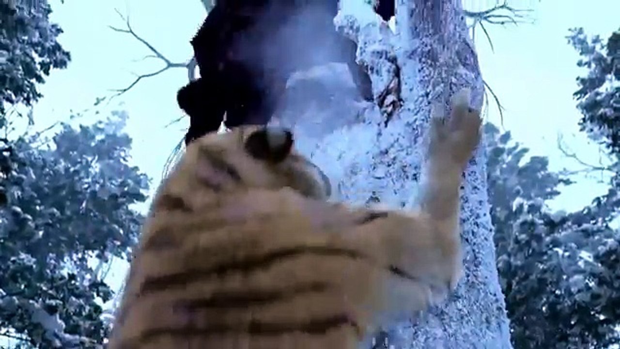 The Taking Of Tiger Mountain-The Best Tiger Scene