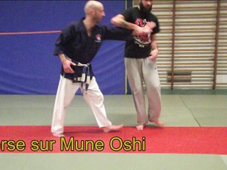 Résumé cours Aiki Yoseikan