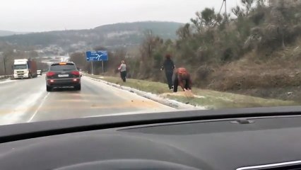 При бандерах мы о таком и мечтать не могли!
