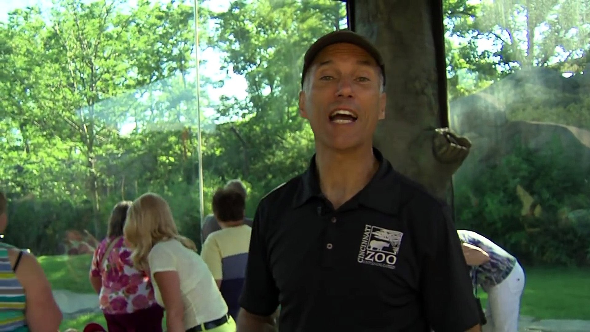 Africa New Lion Exhibit - Cincinnati Zoo