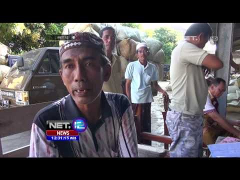 Petani Tembakau di Sumenep Tolak Rencana Kenaikan Harga Rokok - NET12