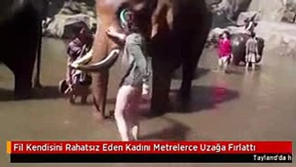 Fil Kendisini Rahatsız Eden Kadını Metrelerce Uzağa Fırlattı