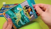 Dinosaur Toys 3D PUZZLE: Huge Claw Dragon, Stegosaurus, Triceratops, Brontosaurus