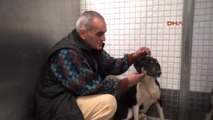 Hayvansever Nevzat Eski, Emekli Maaşıyla 60 Köpek ve 6 Kediye Bakıyor