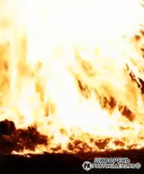 Эксклюзивное видео смерти Гиви!