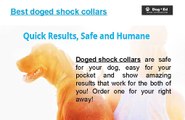 Best doged shock collars