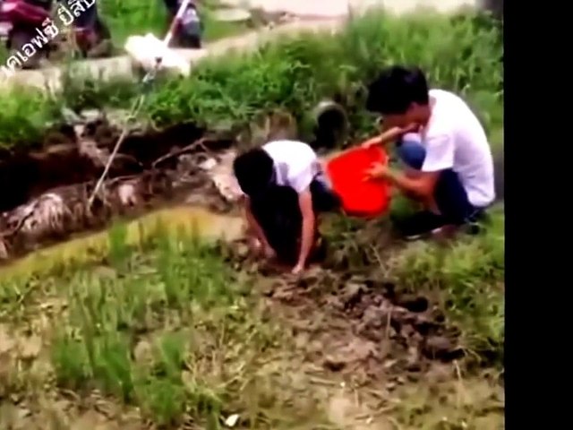Funny Videos 2017 - Best Prank Whatsapp Funny Videos - Try Not To Laugh
