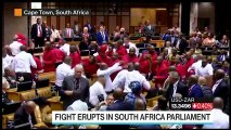 Brawl Breaks Out at South African Parliament