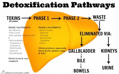 The Importance of Glutathione in Protecting Against Chronic Illness