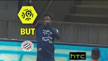 But Isaac MBENZA (60ème) / AS Nancy Lorraine - Montpellier Hérault SC - (0-3) - (ASNL-MHSC) / 2016-17