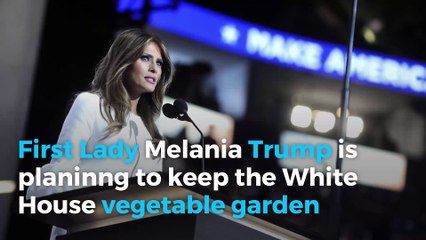 Melania Trump wants to keep Michelle Obama's Vegetable Garden