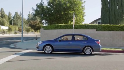 Here's What Would Happen If Dogs Could Drive