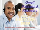 Easy to talk to Gmail Password Recovery Number @1-877-729-6626 Gmail Password Recovery