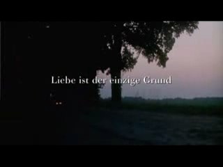 Was nützt die liebe in gedanken