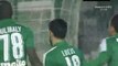 Marcus Berg Goal HD - Panathinaikos 1-0 Panetolikos 12.02.2017