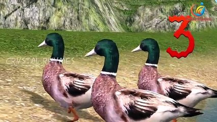 3D Colors Dinosaurs Cartoons Movies For Children | Giant Dinosaurs Animation Videos for Toddlers