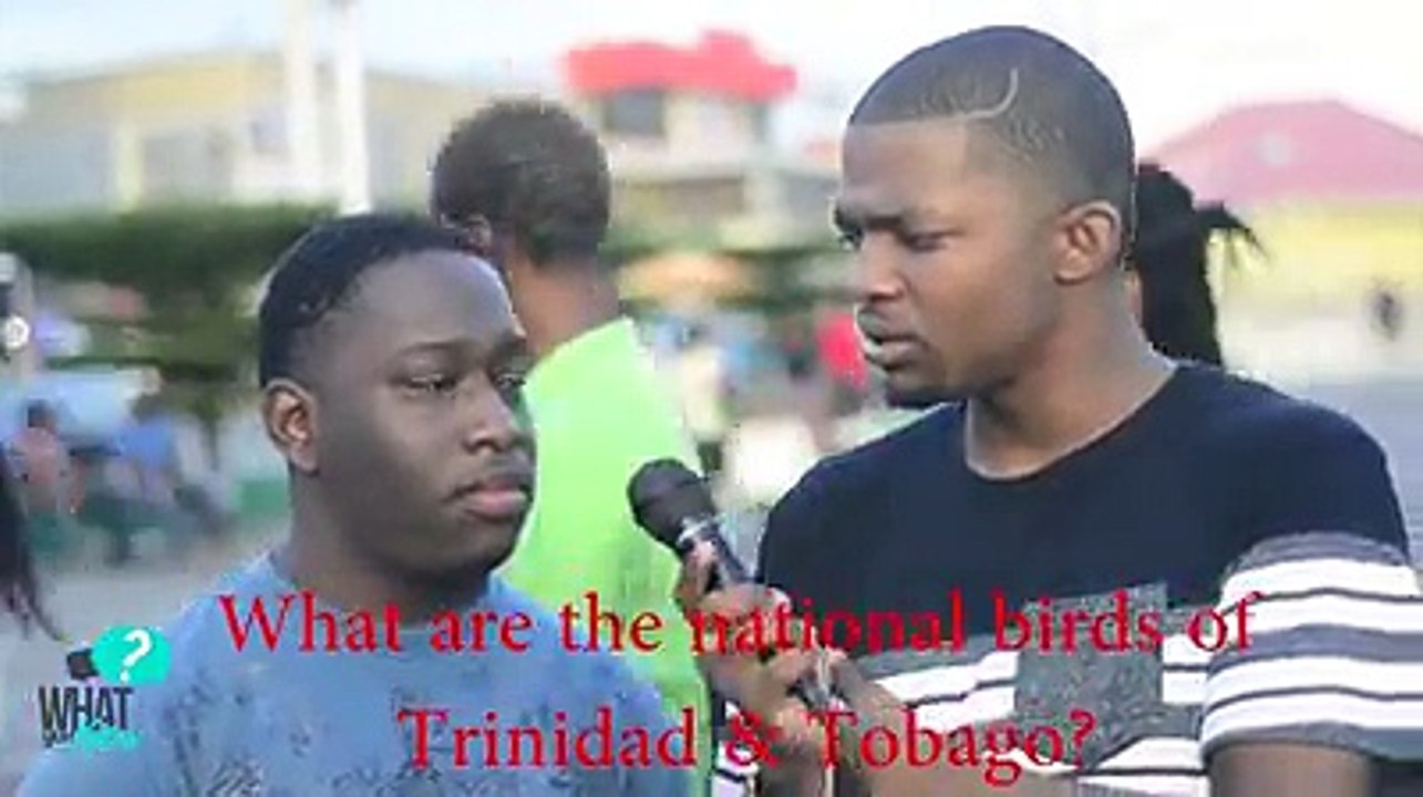 Trinidad #funny