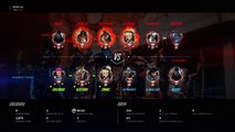 Overwatch: Origins Edition_20170208112530