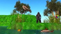Dinosaur Vs Elephant VS Gorilla More Animals Finger Family Nursery Rhymes Collection   Short Movies