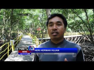 Menikmati Hijaunya Hutan Mangrove Bontang - NET5