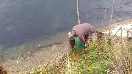 Alabalik avi 7.5 kg Keban Firat