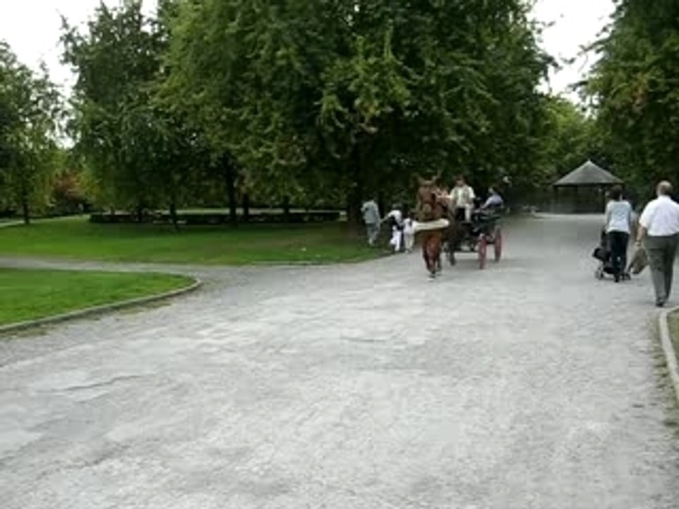 MVI_1324