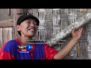 Jokowi Beli Sapi Lokal Jawa Berukuran Jumbo - NET12