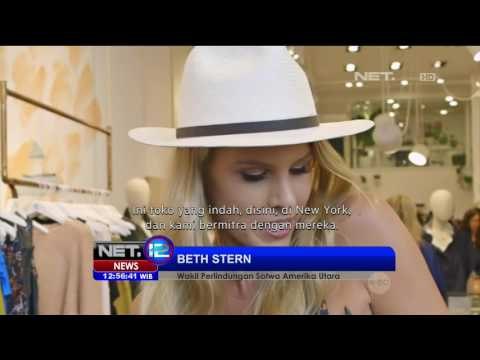 Peluncuran Koleksi Busana Khusus Kucing - NET12