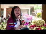 Petualangan Wisata Petik Bunga Mawar di Batu, Malang - NET12