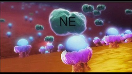 Rock Un The Classroom / Love Drugs - Single (Endorphin Valentine Song) (STEM)