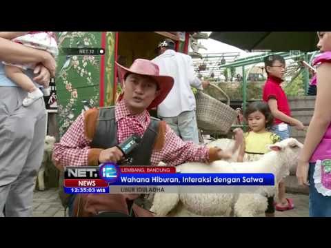 Live Report Tempat Wisata Farm House Lembang - NET12