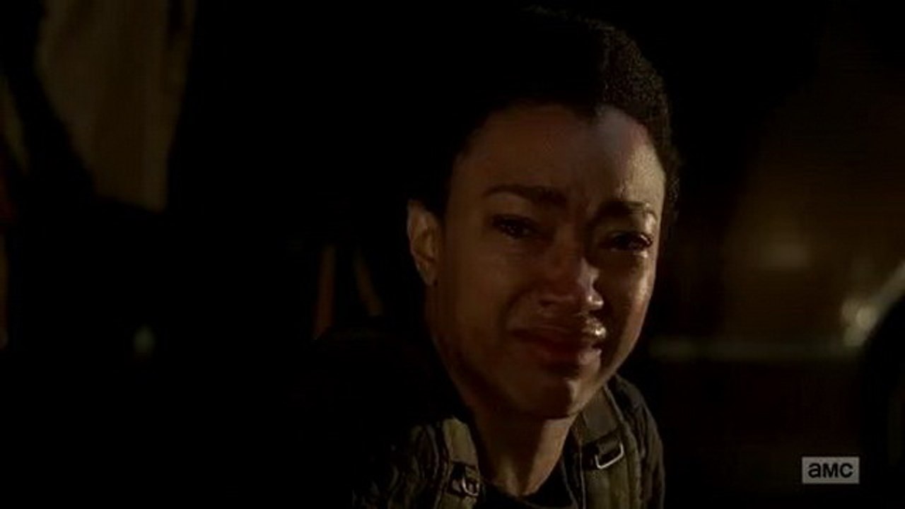 The Walking Dead Season 10 Episode 20 ( 10X20 ) Streaming 4