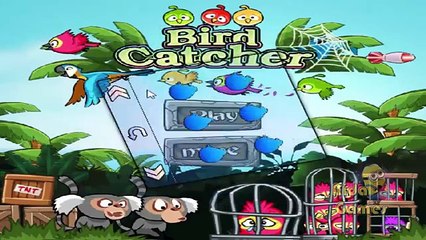 ANGRY BIRDS CATCHER GAME - game for kids | AIDA GAMES
