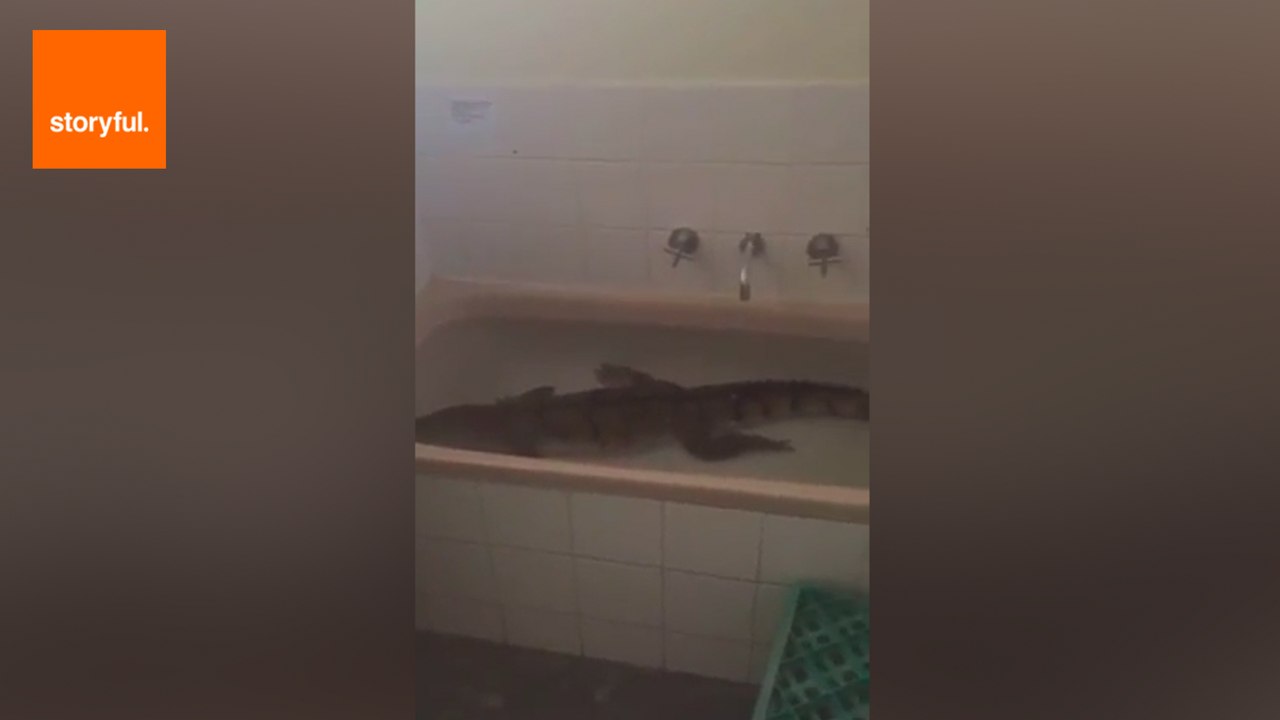 Man Takes a Shower Alongside Crocodile