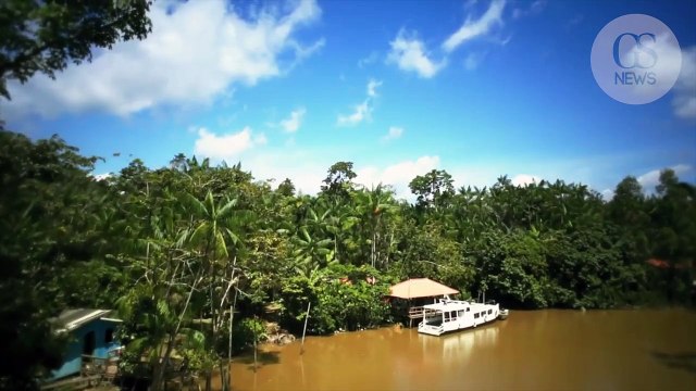 De mystérieux géoglyphes découverts en Amazonie intriguent les scientifiques