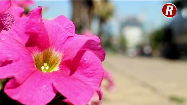 LQCLM- decidir si tener o no a mi hijo producto de una violación -PT3