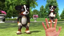Learn Farm Animals Finger Family Rhymes For Children | Farm Animals Nursery Rhymes 3D