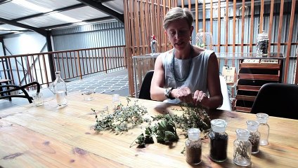 Dans les bars du Cap, la fureur du gin made in South Africa