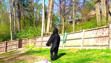 Spiderman Zombie Vs Gorilla Vs Zombie Elsa Vs Venom Zombie - Funny Superhero Movie in Real Life