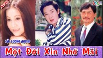 Một Đời Xin Nhớ Mãi - Vũ Linh , Tài Linh , Diệp Lang ,  Dương Thanh ,Cải Lương Tâm Lý Xã Hội Audio